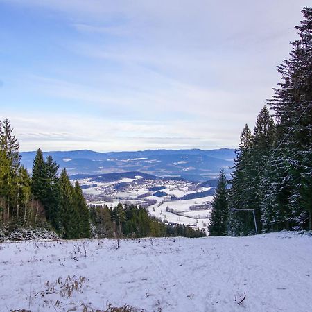 Charmante Ferienwohnung Mit Sauna Und Schwimmbad Im Zauberhaften Bayerischen Wald Sankt Englmar Exteriör bild