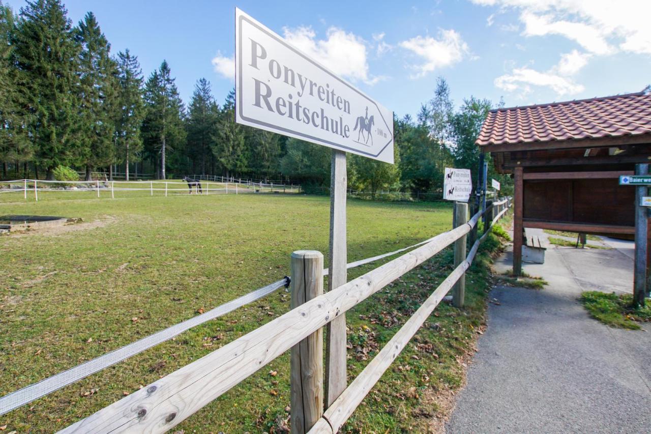 Charmante Ferienwohnung Mit Sauna Und Schwimmbad Im Zauberhaften Bayerischen Wald Sankt Englmar Exteriör bild